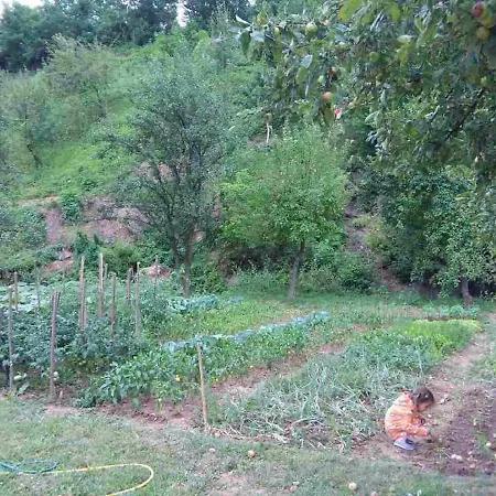 Casa de hóspedes La Rejna 3*